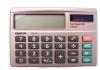 CALCULADORA EXAK.EX-33 8 D (153190)