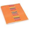 Cuaderno t/flexible potosi/AMERICA x 48 h. ray. (116980/007186)