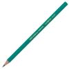 Lapiz grafito BIC evolution (50270/000530)