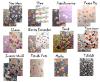 Papel forrar fantasia motivos vs nenes/nenas (60020)